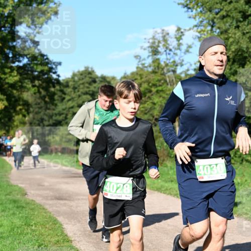 27.09.2026 - 35. Volkslauf durch das schöne Alstertal Dr. Thomas Lammeyer http://msf.ph/oto/10566611 27.09.2026 10:40:45 Laufen 4028, 4030 meine-sportfotos.de