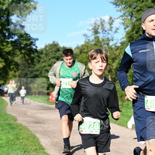 27.09.2026 - 35. Volkslauf durch das schöne Alstertal Dr. Thomas Lammeyer http://msf.ph/oto/10566613 27.09.2026 10:40:45 Laufen 42112, 4028, 40 meine-sportfotos.de