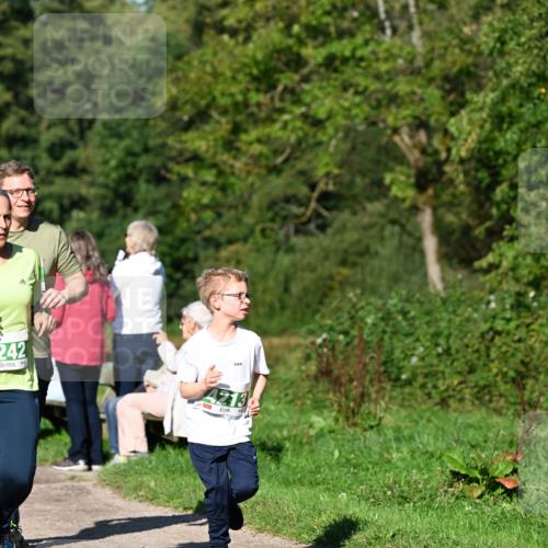 27.09.2026 - 35. Volkslauf durch das schöne Alstertal Dr. Thomas Lammeyer http://msf.ph/oto/10566622 27.09.2026 10:40:51 Laufen 242 meine-sportfotos.de