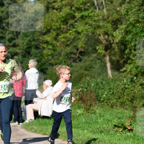 27.09.2026 - 35. Volkslauf durch das schöne Alstertal Dr. Thomas Lammeyer http://msf.ph/oto/10566623 27.09.2026 10:40:51 Laufen 4242, 4213 meine-sportfotos.de