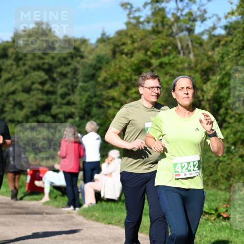 27.09.2026 - 35. Volkslauf durch das schöne Alstertal Dr. Thomas Lammeyer http://msf.ph/oto/10566638 27.09.2026 10:40:53 Laufen 4242 meine-sportfotos.de