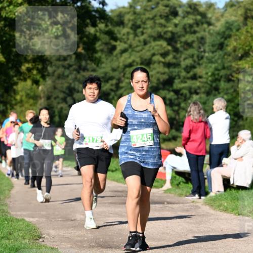 27.09.2026 - 35. Volkslauf durch das schöne Alstertal Dr. Thomas Lammeyer http://msf.ph/oto/10566686 27.09.2026 10:41:00 Laufen  meine-sportfotos.de