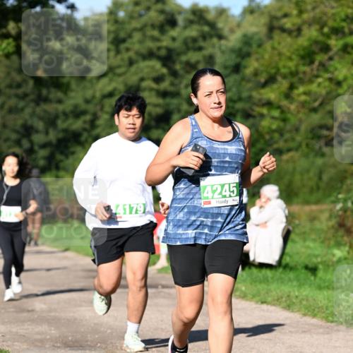 27.09.2026 - 35. Volkslauf durch das schöne Alstertal Dr. Thomas Lammeyer http://msf.ph/oto/10566697 27.09.2026 10:41:01 Laufen 4179, 4245 meine-sportfotos.de