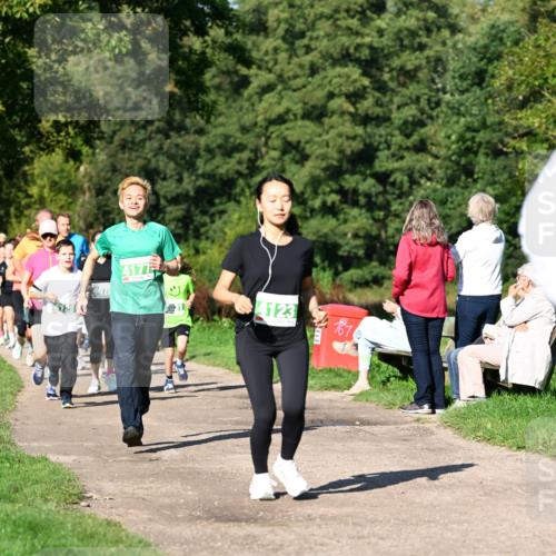 27.09.2026 - 35. Volkslauf durch das schöne Alstertal Dr. Thomas Lammeyer http://msf.ph/oto/10566710 27.09.2026 10:41:04 Laufen 401, 4177, 4123, 031, 167 meine-sportfotos.de