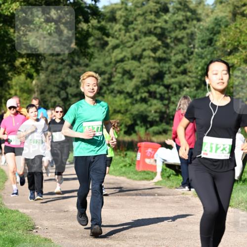 27.09.2026 - 35. Volkslauf durch das schöne Alstertal Dr. Thomas Lammeyer http://msf.ph/oto/10566722 27.09.2026 10:41:05 Laufen 4128, 14477, 4123 meine-sportfotos.de