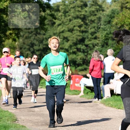 27.09.2026 - 35. Volkslauf durch das schöne Alstertal Dr. Thomas Lammeyer http://msf.ph/oto/10566727 27.09.2026 10:41:06 Laufen 440, 4128, 4177 meine-sportfotos.de