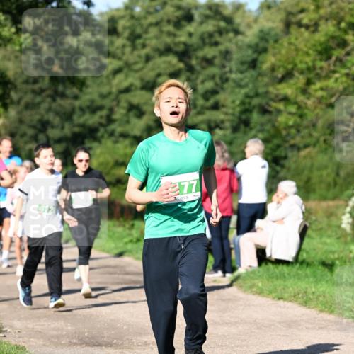 27.09.2026 - 35. Volkslauf durch das schöne Alstertal Dr. Thomas Lammeyer http://msf.ph/oto/10566734 27.09.2026 10:41:07 Laufen 412, 77 meine-sportfotos.de