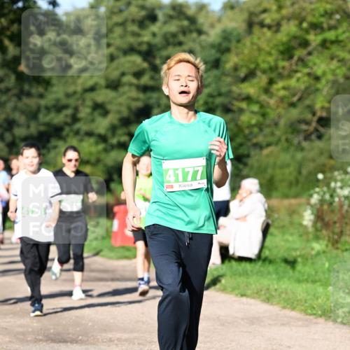27.09.2026 - 35. Volkslauf durch das schöne Alstertal Dr. Thomas Lammeyer http://msf.ph/oto/10566738 27.09.2026 10:41:07 Laufen 4177 meine-sportfotos.de