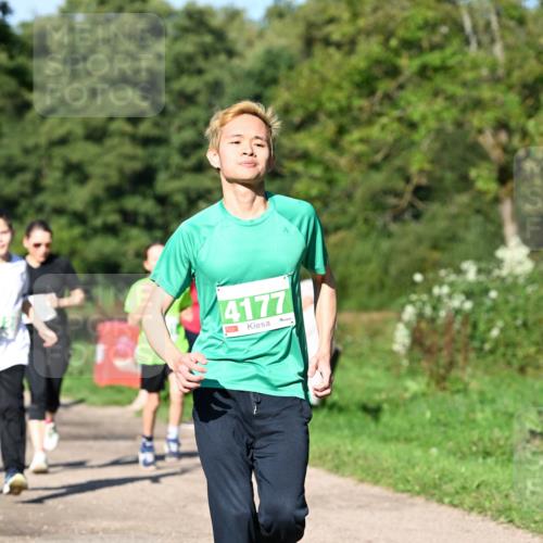 27.09.2026 - 35. Volkslauf durch das schöne Alstertal Dr. Thomas Lammeyer http://msf.ph/oto/10566741 27.09.2026 10:41:07 Laufen 4177 meine-sportfotos.de