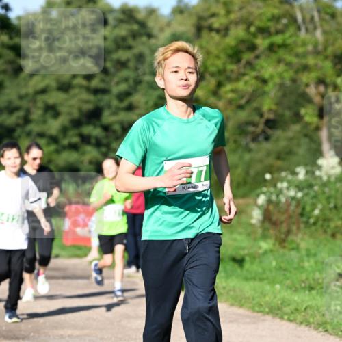 27.09.2026 - 35. Volkslauf durch das schöne Alstertal Dr. Thomas Lammeyer http://msf.ph/oto/10566742 27.09.2026 10:41:08 Laufen 17 meine-sportfotos.de