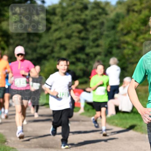 27.09.2026 - 35. Volkslauf durch das schöne Alstertal Dr. Thomas Lammeyer http://msf.ph/oto/10566744 27.09.2026 10:41:08 Laufen  meine-sportfotos.de