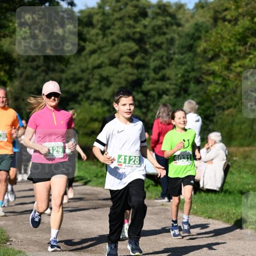 27.09.2026 - 35. Volkslauf durch das schöne Alstertal Dr. Thomas Lammeyer http://msf.ph/oto/10566746 27.09.2026 10:41:09 Laufen 30, 129, 4128, 4031 meine-sportfotos.de