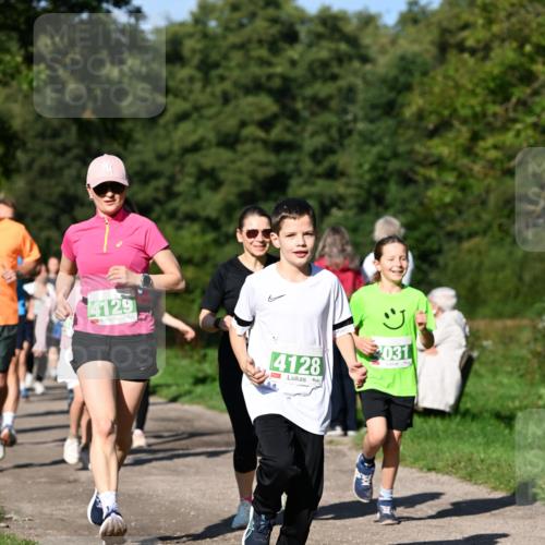 27.09.2026 - 35. Volkslauf durch das schöne Alstertal Dr. Thomas Lammeyer http://msf.ph/oto/10566749 27.09.2026 10:41:09 Laufen 4129, 4128, 031 meine-sportfotos.de