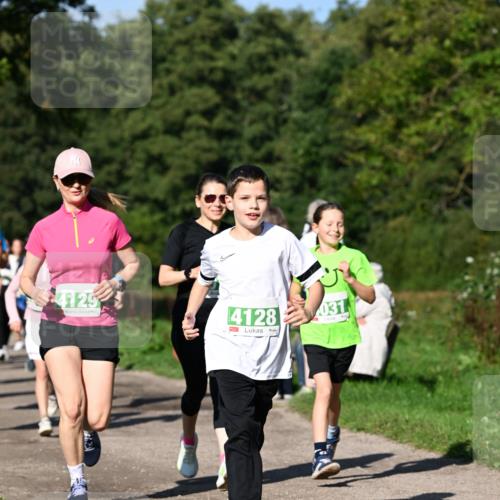 27.09.2026 - 35. Volkslauf durch das schöne Alstertal Dr. Thomas Lammeyer http://msf.ph/oto/10566750 27.09.2026 10:41:09 Laufen 4125, 4128, 031 meine-sportfotos.de