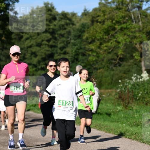 27.09.2026 - 35. Volkslauf durch das schöne Alstertal Dr. Thomas Lammeyer http://msf.ph/oto/10566751 27.09.2026 10:41:09 Laufen 4129, 4128 meine-sportfotos.de