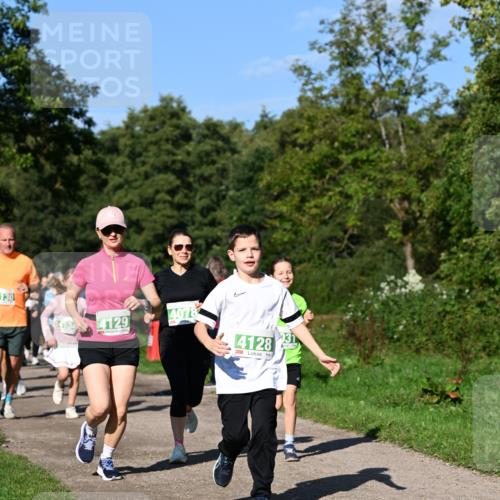 27.09.2026 - 35. Volkslauf durch das schöne Alstertal Dr. Thomas Lammeyer http://msf.ph/oto/10566752 27.09.2026 10:41:09 Laufen 130, 4129, 4078, 4128 meine-sportfotos.de