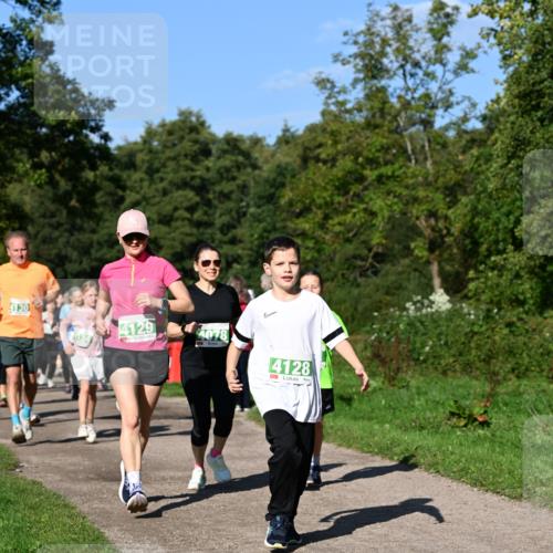 27.09.2026 - 35. Volkslauf durch das schöne Alstertal Dr. Thomas Lammeyer http://msf.ph/oto/10566753 27.09.2026 10:41:10 Laufen 4130, 4129, 078, 134, 4128 meine-sportfotos.de