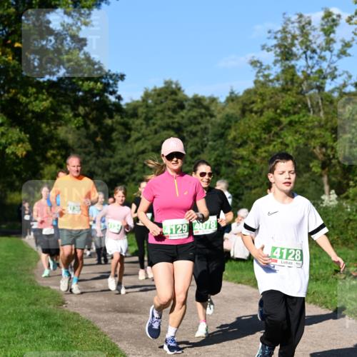 27.09.2026 - 35. Volkslauf durch das schöne Alstertal Dr. Thomas Lammeyer http://msf.ph/oto/10566756 27.09.2026 10:41:10 Laufen 130, 41, 4129, 4078, 4128 meine-sportfotos.de