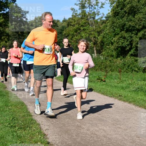 27.09.2026 - 35. Volkslauf durch das schöne Alstertal Dr. Thomas Lammeyer http://msf.ph/oto/10566765 27.09.2026 10:41:14 Laufen  meine-sportfotos.de