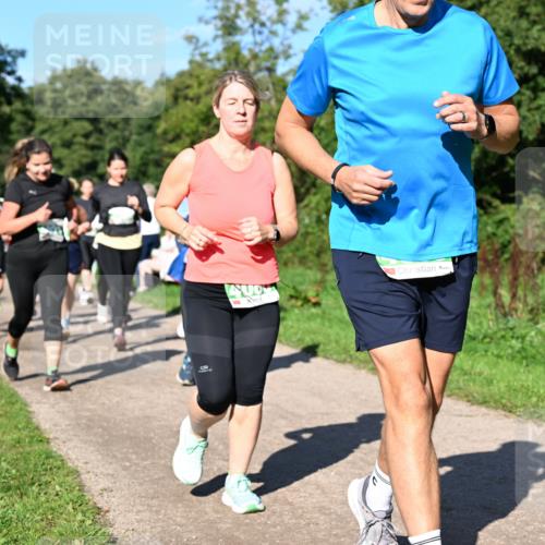 27.09.2026 - 35. Volkslauf durch das schöne Alstertal Dr. Thomas Lammeyer http://msf.ph/oto/10566788 27.09.2026 10:41:17 Laufen  meine-sportfotos.de