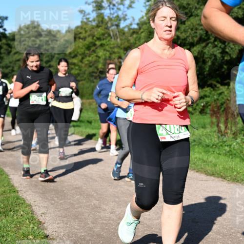 27.09.2026 - 35. Volkslauf durch das schöne Alstertal Dr. Thomas Lammeyer http://msf.ph/oto/10566793 27.09.2026 10:41:17 Laufen  meine-sportfotos.de