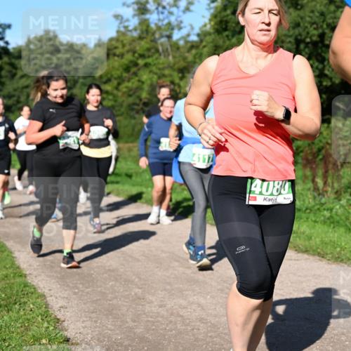 27.09.2026 - 35. Volkslauf durch das schöne Alstertal Dr. Thomas Lammeyer http://msf.ph/oto/10566794 27.09.2026 10:41:18 Laufen 4117, 14080 meine-sportfotos.de