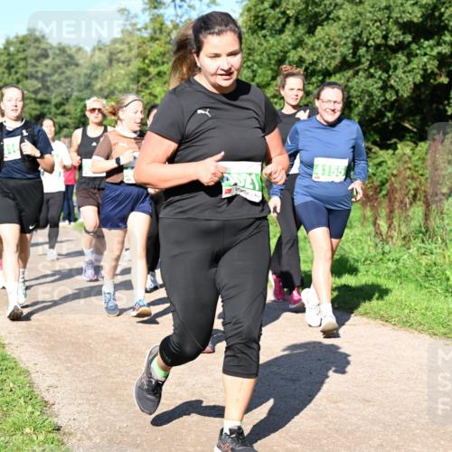 27.09.2026 - 35. Volkslauf durch das schöne Alstertal Dr. Thomas Lammeyer http://msf.ph/oto/10566805 27.09.2026 10:41:19 Laufen 4155 meine-sportfotos.de