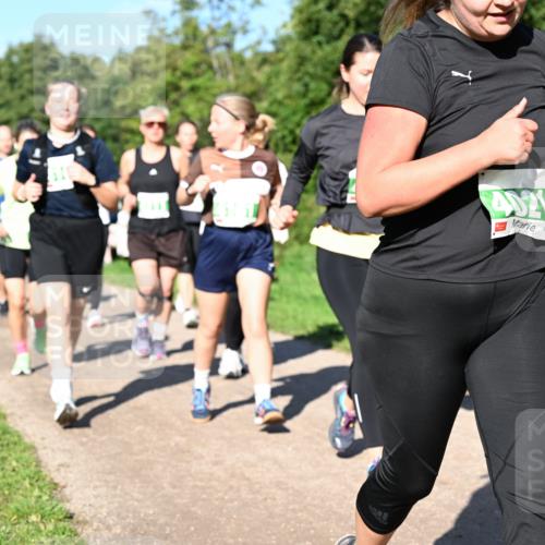 27.09.2026 - 35. Volkslauf durch das schöne Alstertal Dr. Thomas Lammeyer http://msf.ph/oto/10566812 27.09.2026 10:41:20 Laufen 616 meine-sportfotos.de