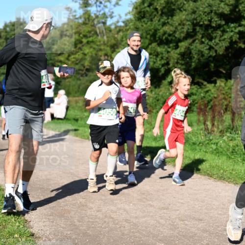 27.09.2026 - 35. Volkslauf durch das schöne Alstertal Dr. Thomas Lammeyer http://msf.ph/oto/10566834 27.09.2026 10:41:28 Laufen 4050, 404 meine-sportfotos.de
