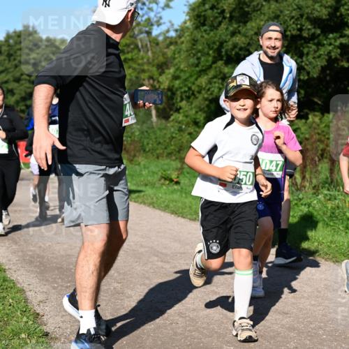 27.09.2026 - 35. Volkslauf durch das schöne Alstertal Dr. Thomas Lammeyer http://msf.ph/oto/10566841 27.09.2026 10:41:28 Laufen 50, 047, 4043 meine-sportfotos.de