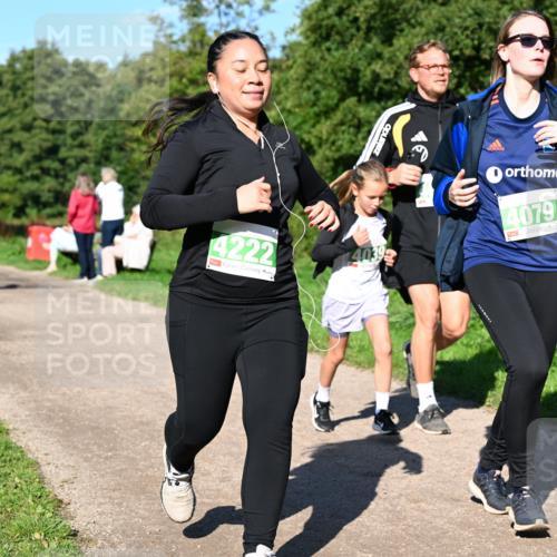 27.09.2026 - 35. Volkslauf durch das schöne Alstertal Dr. Thomas Lammeyer http://msf.ph/oto/10566865 27.09.2026 10:41:31 Laufen 4222, 4039, 4079 meine-sportfotos.de