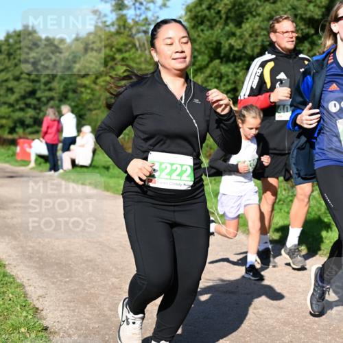 27.09.2026 - 35. Volkslauf durch das schöne Alstertal Dr. Thomas Lammeyer http://msf.ph/oto/10566866 27.09.2026 10:41:31 Laufen 222, 40, 4079 meine-sportfotos.de