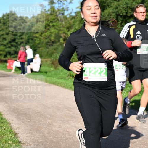 27.09.2026 - 35. Volkslauf durch das schöne Alstertal Dr. Thomas Lammeyer http://msf.ph/oto/10566869 27.09.2026 10:41:31 Laufen 4222, 1405, 041, 40 meine-sportfotos.de