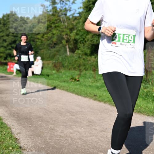 27.09.2026 - 35. Volkslauf durch das schöne Alstertal Dr. Thomas Lammeyer http://msf.ph/oto/10566906 27.09.2026 10:41:38 Laufen 4159 meine-sportfotos.de