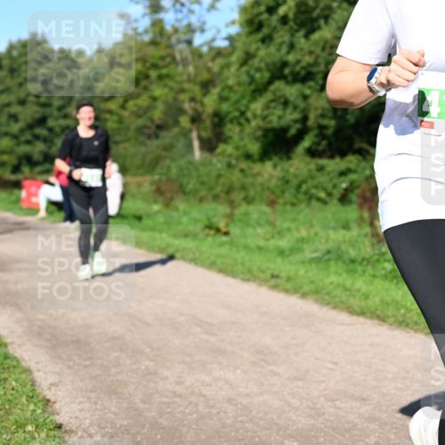 27.09.2026 - 35. Volkslauf durch das schöne Alstertal Dr. Thomas Lammeyer http://msf.ph/oto/10566908 27.09.2026 10:41:38 Laufen 4159 meine-sportfotos.de