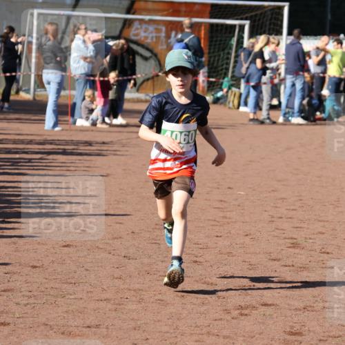 27.09.2026 - 35. Volkslauf durch das schöne Alstertal Strokosch-Dieckow http://msf.ph/oto/10566910 27.09.2026 11:02:52 Ziel 4060 meine-sportfotos.de