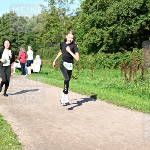 27.09.2026 - 35. Volkslauf durch das schöne Alstertal Dr. Thomas Lammeyer http://msf.ph/oto/10566945 27.09.2026 10:41:43 Laufen  meine-sportfotos.de