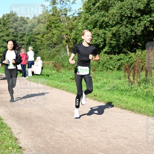 27.09.2026 - 35. Volkslauf durch das schöne Alstertal Dr. Thomas Lammeyer http://msf.ph/oto/10566948 27.09.2026 10:41:43 Laufen 4092 meine-sportfotos.de