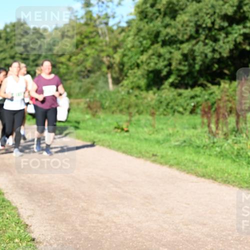 27.09.2026 - 35. Volkslauf durch das schöne Alstertal Dr. Thomas Lammeyer http://msf.ph/oto/10566986 27.09.2026 10:41:47 Laufen  meine-sportfotos.de