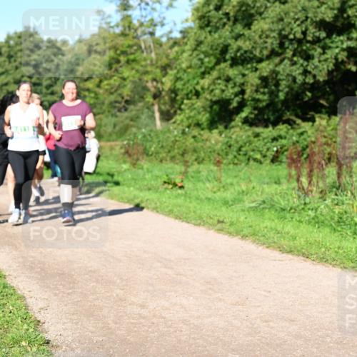 27.09.2026 - 35. Volkslauf durch das schöne Alstertal Dr. Thomas Lammeyer http://msf.ph/oto/10566987 27.09.2026 10:41:47 Laufen  meine-sportfotos.de