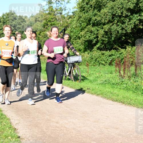 27.09.2026 - 35. Volkslauf durch das schöne Alstertal Dr. Thomas Lammeyer http://msf.ph/oto/10566999 27.09.2026 10:41:48 Laufen 3, 2093, 4115, 4114 meine-sportfotos.de