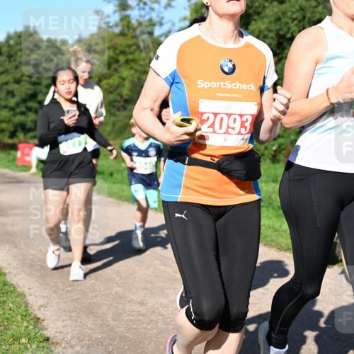 27.09.2026 - 35. Volkslauf durch das schöne Alstertal Dr. Thomas Lammeyer http://msf.ph/oto/10567016 27.09.2026 10:41:50 Laufen 4115, 2093 meine-sportfotos.de