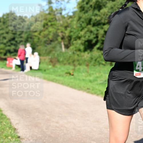 27.09.2026 - 35. Volkslauf durch das schöne Alstertal Dr. Thomas Lammeyer http://msf.ph/oto/10567043 27.09.2026 10:41:54 Laufen 41 meine-sportfotos.de