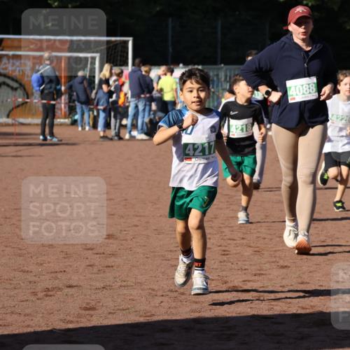 27.09.2026 - 35. Volkslauf durch das schöne Alstertal Strokosch-Dieckow http://msf.ph/oto/10567067 27.09.2026 11:02:19 Ziel 4088, 4217, 4218, 4219, 4226 meine-sportfotos.de