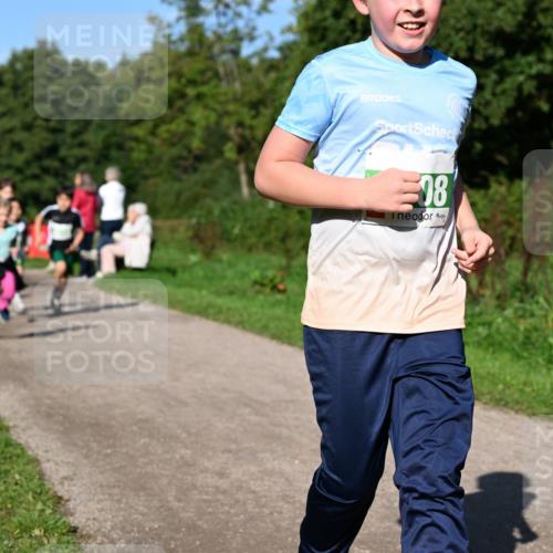 27.09.2026 - 35. Volkslauf durch das schöne Alstertal Dr. Thomas Lammeyer http://msf.ph/oto/10567071 27.09.2026 10:41:59 Laufen 98 meine-sportfotos.de