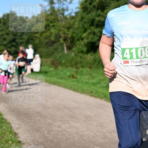 27.09.2026 - 35. Volkslauf durch das schöne Alstertal Dr. Thomas Lammeyer http://msf.ph/oto/10567074 27.09.2026 10:41:59 Laufen 4108 meine-sportfotos.de