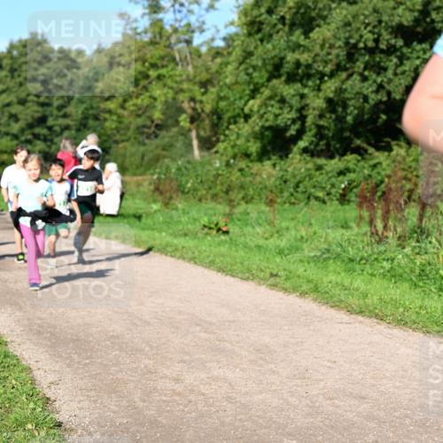 27.09.2026 - 35. Volkslauf durch das schöne Alstertal Dr. Thomas Lammeyer http://msf.ph/oto/10567075 27.09.2026 10:41:59 Laufen  meine-sportfotos.de