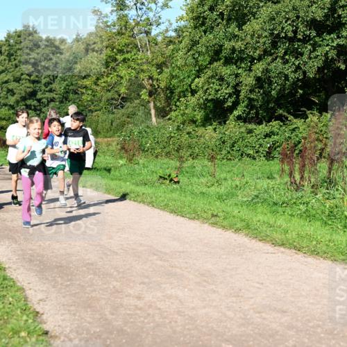 27.09.2026 - 35. Volkslauf durch das schöne Alstertal Dr. Thomas Lammeyer http://msf.ph/oto/10567076 27.09.2026 10:42:00 Laufen 4218 meine-sportfotos.de