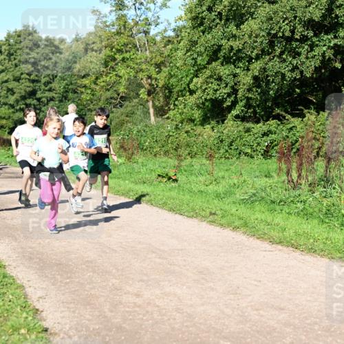 27.09.2026 - 35. Volkslauf durch das schöne Alstertal Dr. Thomas Lammeyer http://msf.ph/oto/10567078 27.09.2026 10:42:00 Laufen 4226, 104218 meine-sportfotos.de