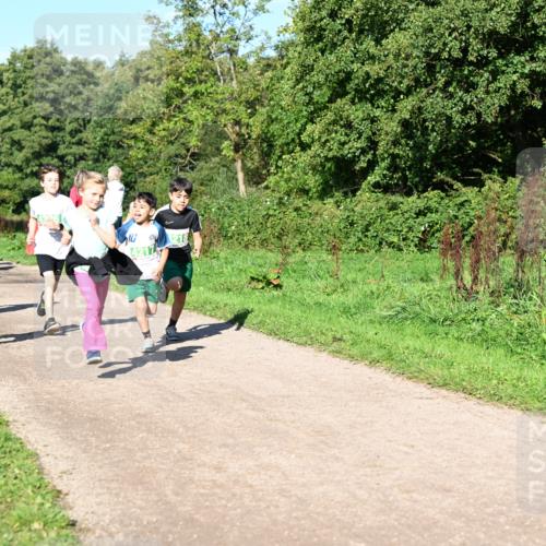 27.09.2026 - 35. Volkslauf durch das schöne Alstertal Dr. Thomas Lammeyer http://msf.ph/oto/10567079 27.09.2026 10:42:00 Laufen 1218 meine-sportfotos.de